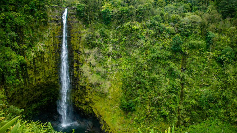 Akaka Falls State Park, Hilo, Hawaii, 2003