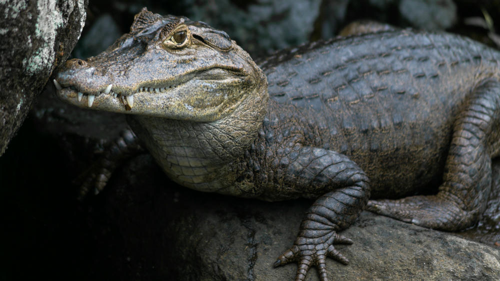 La Fortuna, Costa Rica, 2007