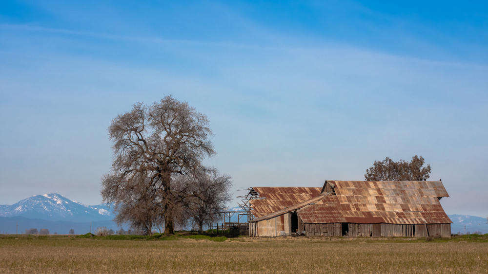 California Road Trip