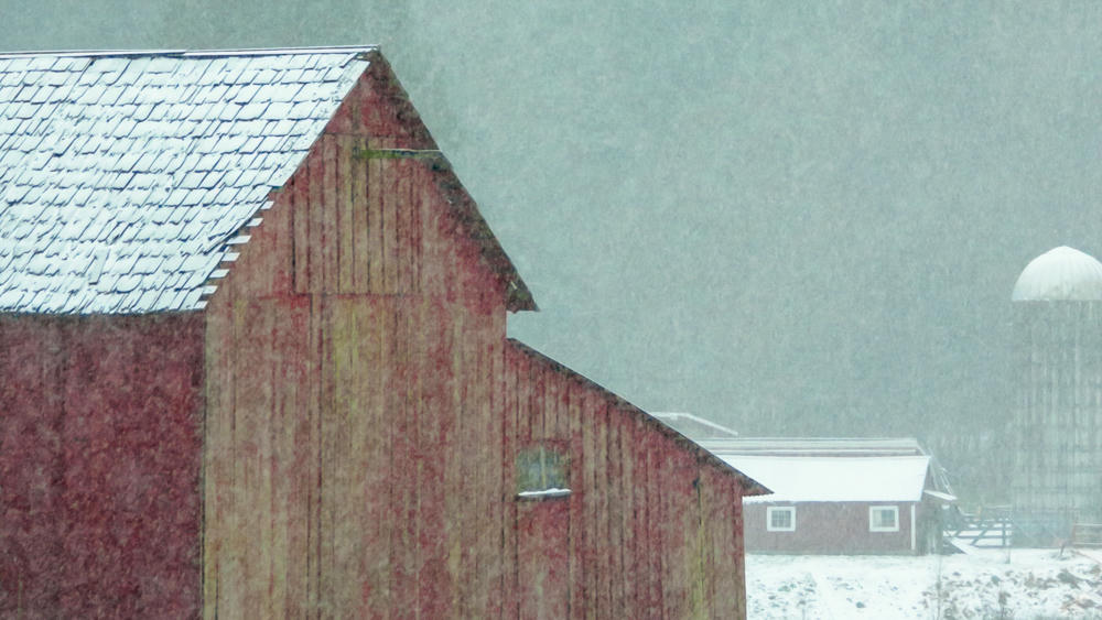 Snow Day