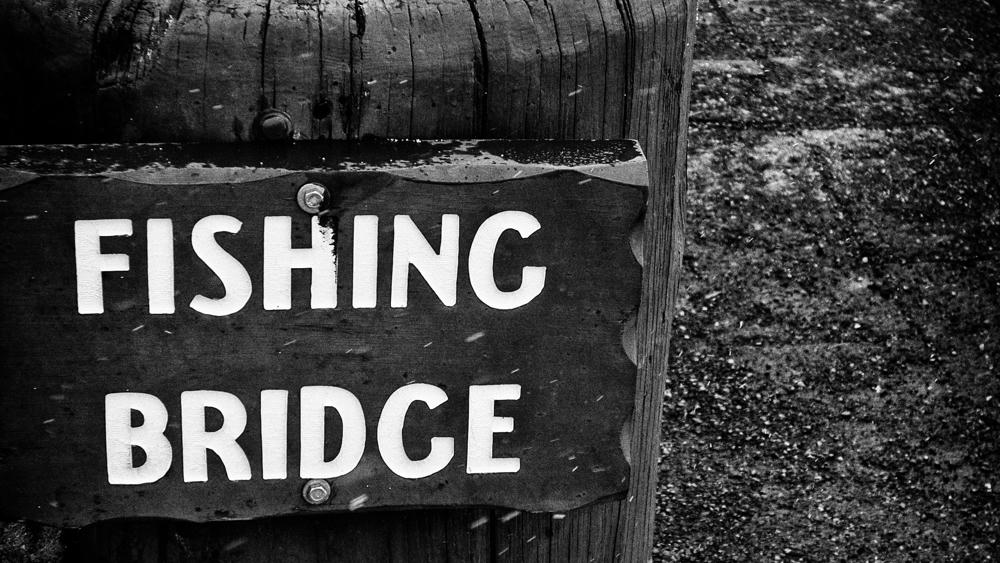 Fishing Bridge … Or Not