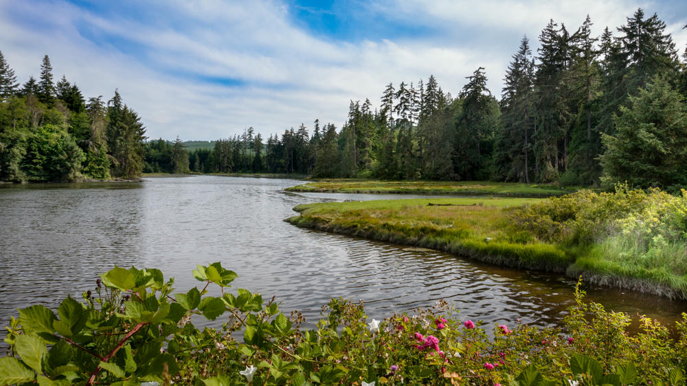 Carpenter Creek