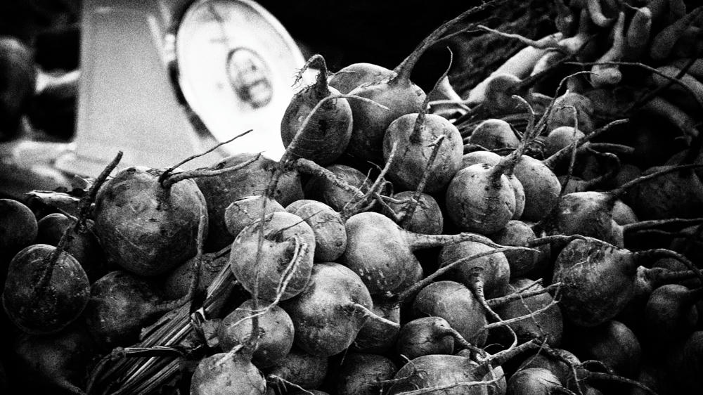 Radishes