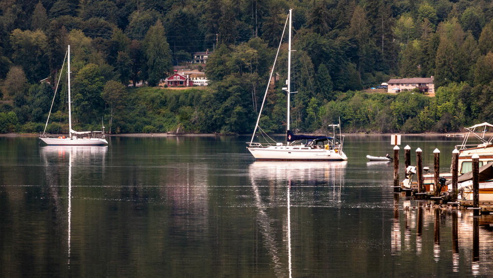 Sailboats in Liberty Bay