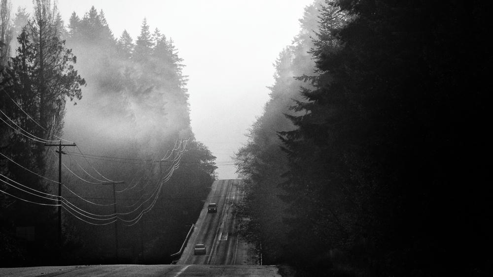Fog Burning Off