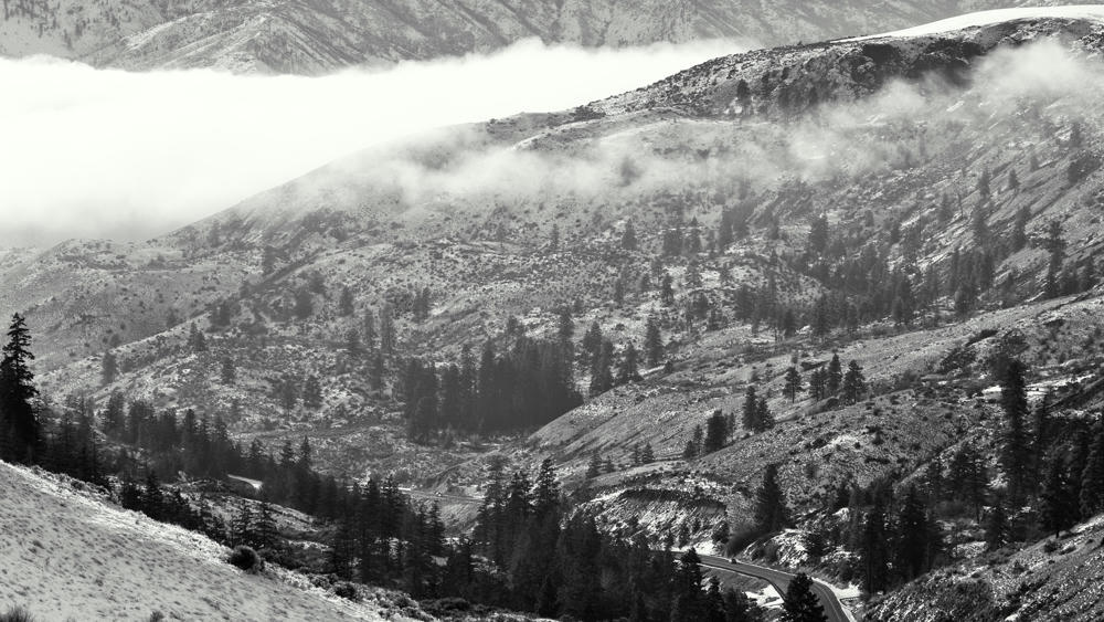Pine Canyon