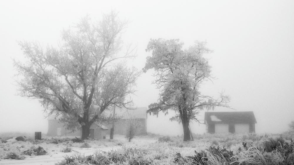 Winter Friends Are Friends Forever