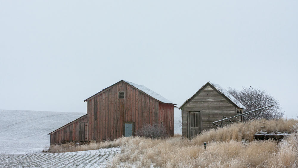 Eastern Washington Day 3: Back Home