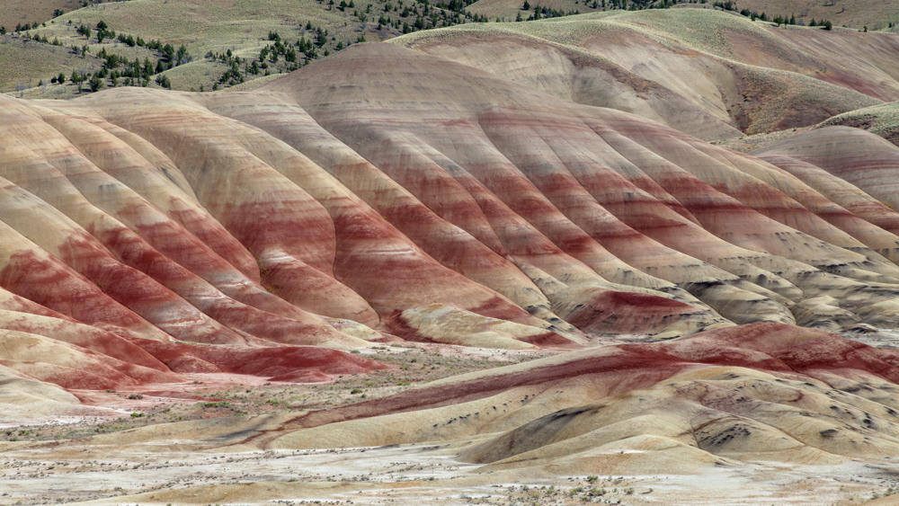 An Eastern Oregon Road Trip