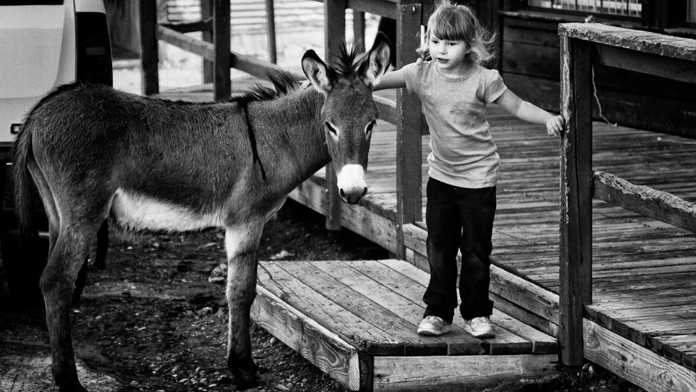 Girl and Burro