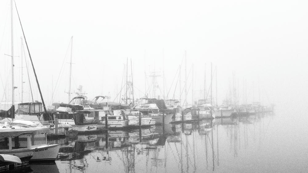 Fade to White