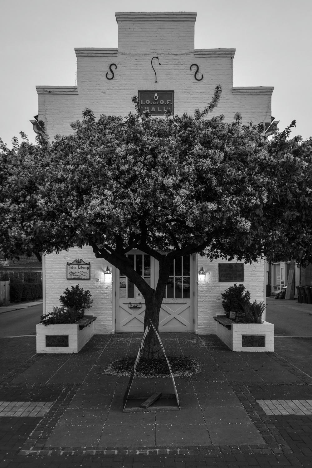 Shepherdstown Library III