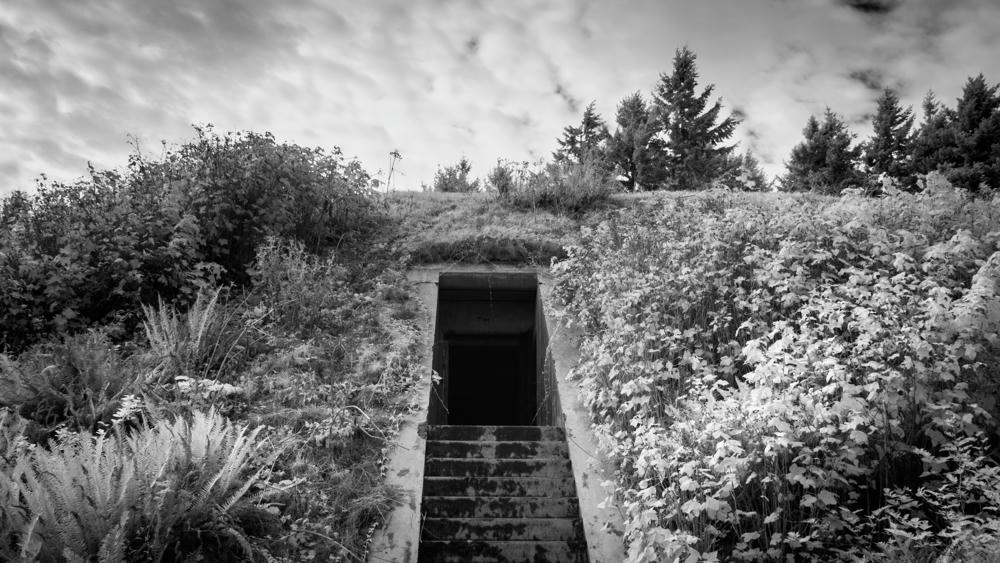 Into Darkness