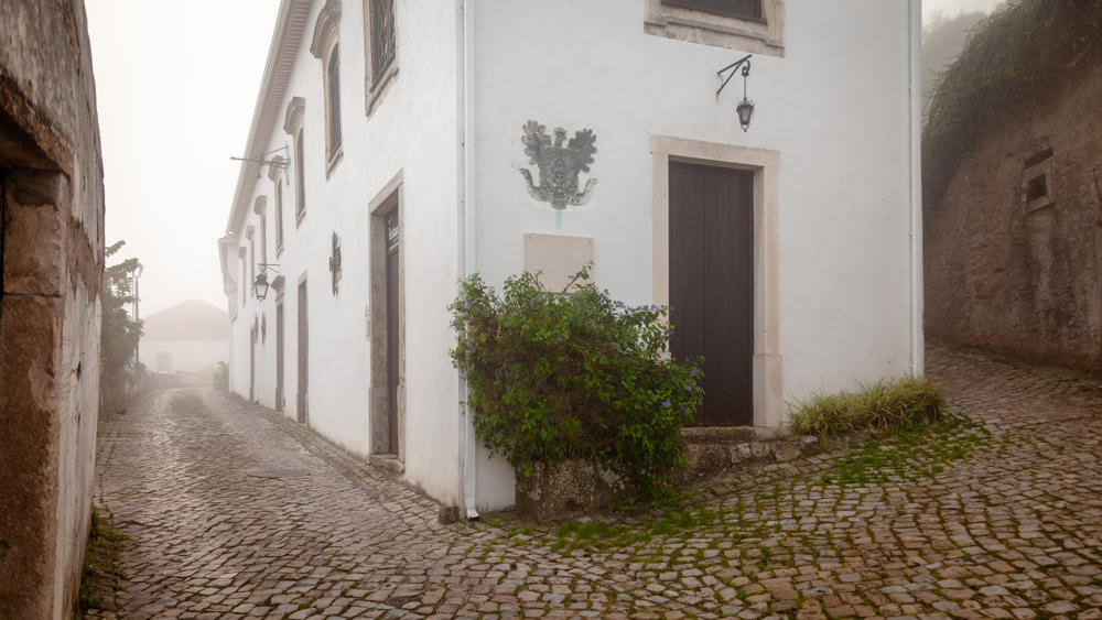 Europe Day 7: Hilltop Fog