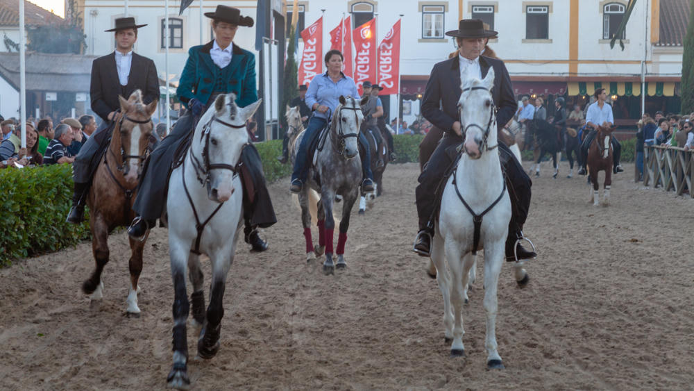Europe Day 7: Feira Nacional do Cavalo