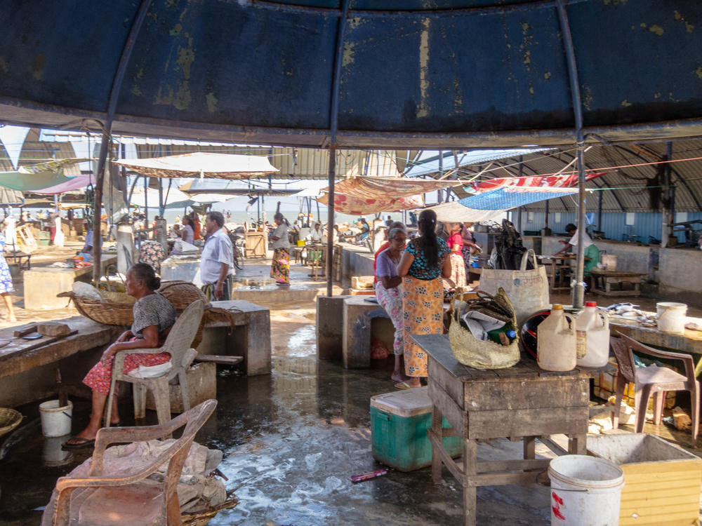 A busy open-air fish market under a large weathered metal dome roof, with vendors and shoppers standing among concrete and wooden stalls, plastic chairs, baskets, buckets, and plastic jugs on a wet floor. Women in patterned dresses and skirts gather near the stalls, with the sea visible in the bright background.