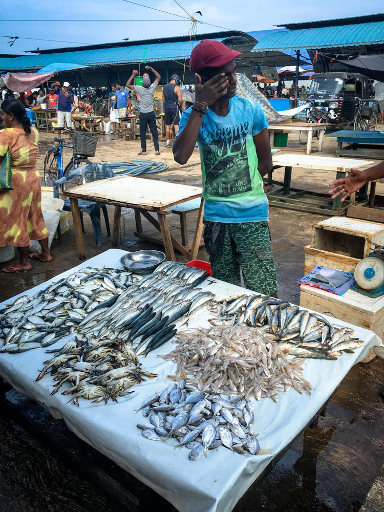 A vendor in a maroon cap and turquoise T-shirt stands behind a white-covered table piled with fresh fish and crabs at an open-air fish market, with crowds of shoppers, blue-roofed stalls, a parked auto rickshaw, and a bicycle in the busy background.