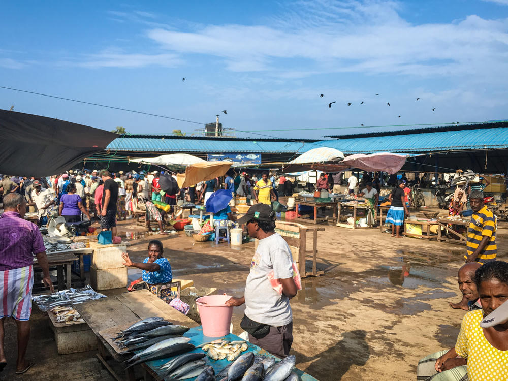 A busy open-air fish market with rows of fish laid out on blue and concrete tables, including tuna and small silver fish in the foreground. Vendors and shoppers crowd the stalls under blue tin roofs and umbrellas, with birds circling overhead in a bright sky.