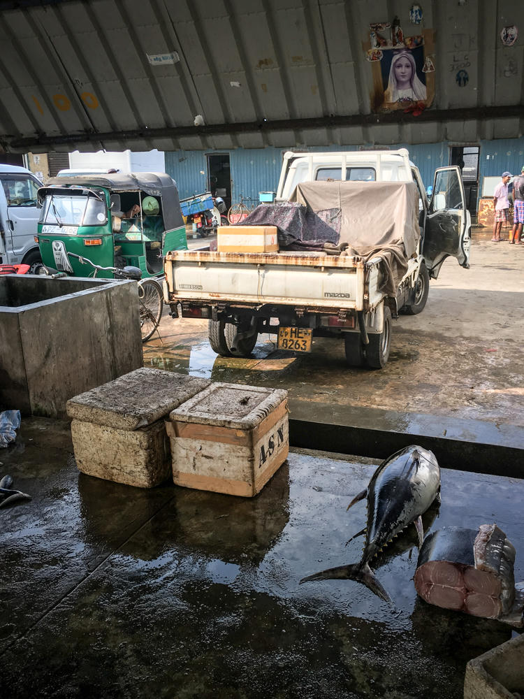 A wet concrete floor of an indoor fish market where whole tunas and a cut block of red tuna flesh lie beside weathered insulated boxes, with a white Mazda pickup truck and a green auto-rickshaw parked under a corrugated metal roof and a few men standing in the background. A picture of the Virgin Mary is stuck to the metal beam overhead.