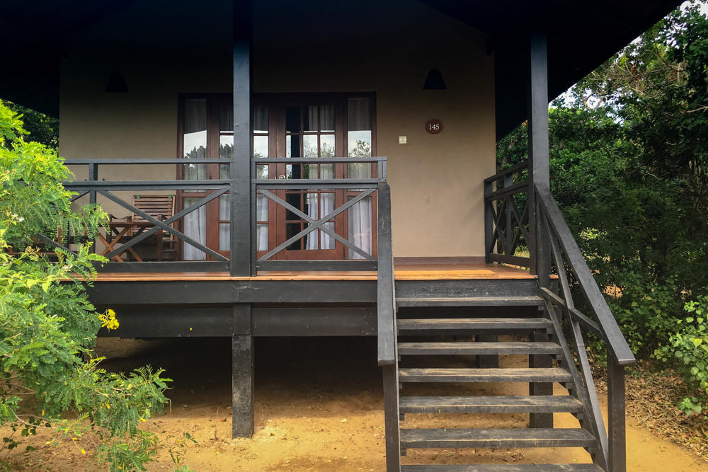 A raised cabin-style bungalow numbered 145 with a green corrugated metal roof, cream walls, and dark wooden French doors opening onto a covered veranda with a railing and wooden chairs, accessed by a wooden staircase, surrounded by lush green tropical vegetation and bare sandy ground.