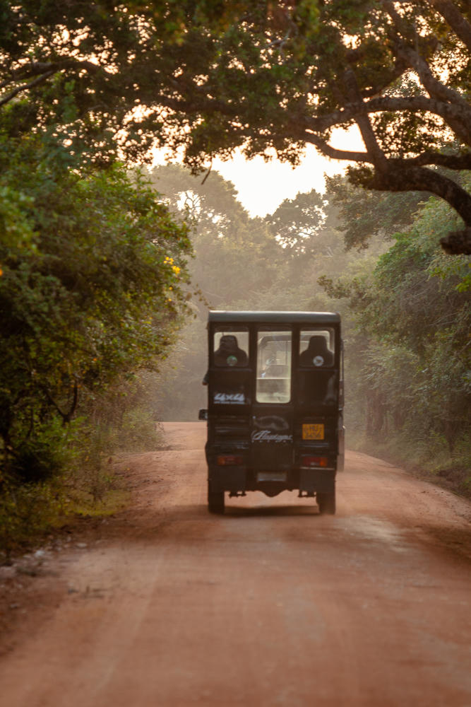 A dark safari jeep with two passengers seen from behind, driving away down a dusty orange-red dirt road that cuts through dense green jungle in Yala National Park, with hazy golden light filtering through overhanging tree branches.