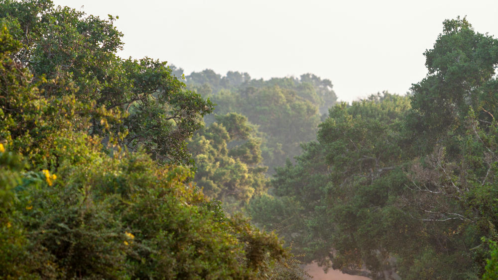 Yala National Park, Sri Lanka