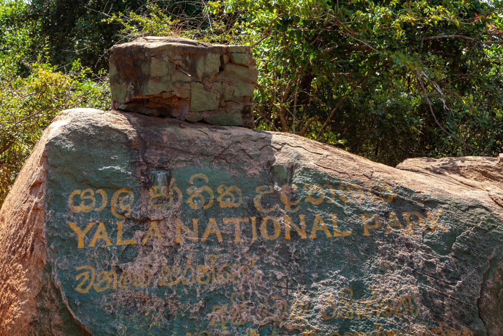 A large weathered boulder painted with yellow lettering reading “Yala National Park” in both English and Sinhala script, topped with a rough-cut stone block, set against dense green foliage and trees in bright sunlight.