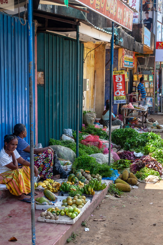 Two women sit on a raised platform beside a closed blue and green corrugated-metal shopfront at an open-air street market, with bananas, papayas, citrus, jackfruit, leafy greens and other produce laid out on the ground and pavement in front of them. Further down the street, signs in Sinhala script and other vendors and shops are visible.