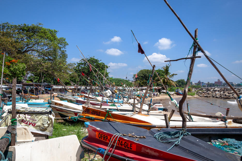 Numerous small wooden fishing boats pulled up onto a grassy shore beside a calm harbor, with tall thin masts and wooden rigging poles rising into a bright blue sky dotted with clouds. A red and black boat marked ‘OFRP-A-0174-GLE’ sits in the foreground, with palm trees, rocky breakwater, and distant buildings visible across the water.