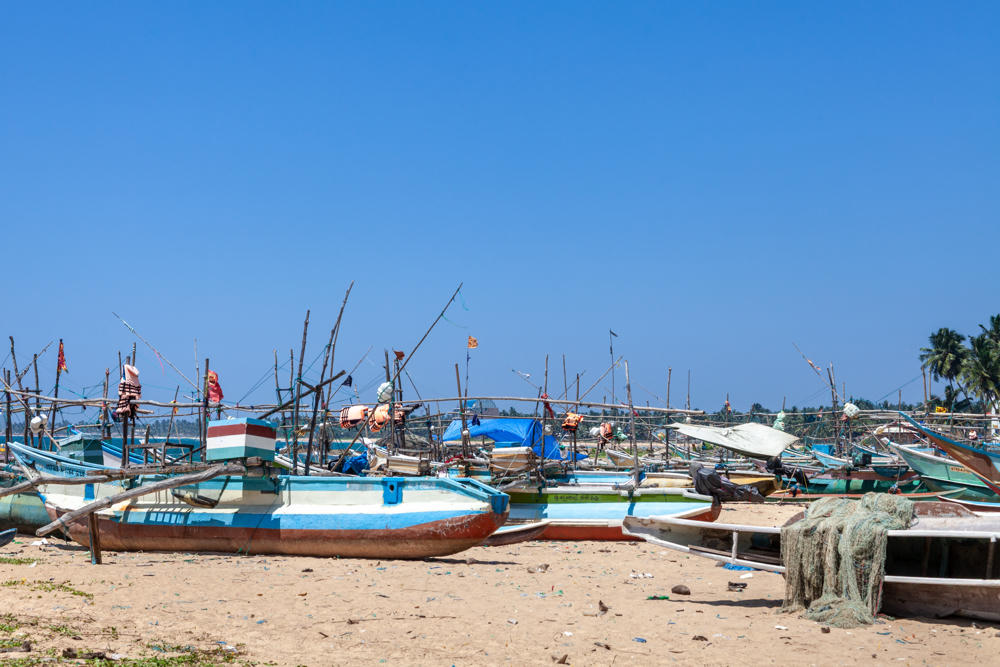 Numerous traditional wooden fishing boats with blue and white hulls beached on the sand under a clear blue sky, their tall wooden poles, rigging, and orange life vests rising into the air, with fishing nets piled in the foreground and palm trees on the right horizon.