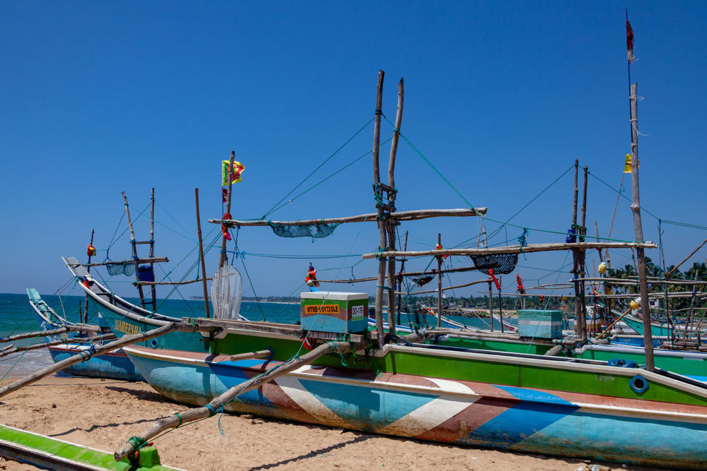 Colorful wooden outrigger fishing boats with tall wooden masts, rigging, flags, and nets, hauled up on a sandy beach beside calm turquoise sea under a clear blue sky at Ceylon Fishery Harbor in Dodanduwa, Sri Lanka.