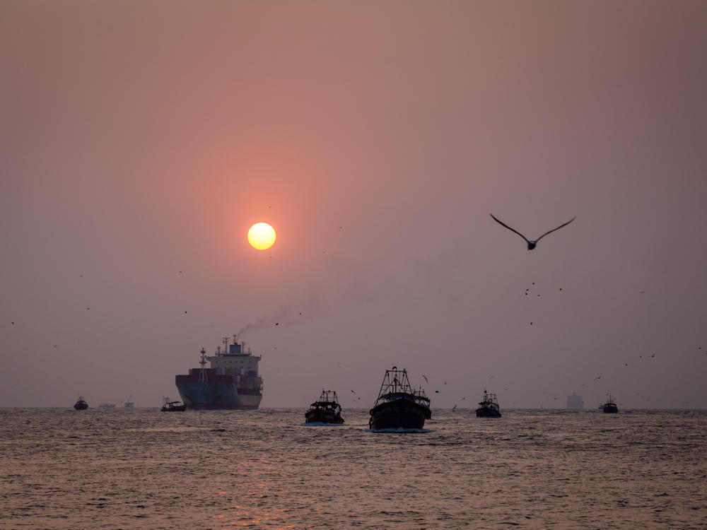 A hazy orange sun sinks toward the horizon over the sea off Vypin, Kerala, silhouetting a large container ship emitting smoke and several smaller fishing boats. A seagull glides across the pinkish sky on the right while other birds dot the distance.
