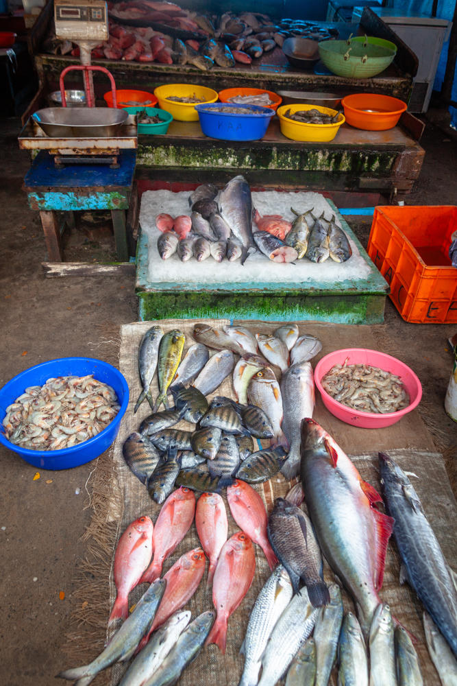 A fish market display in Fort Kochi, India, with rows of fresh fish — red snapper, silver fish, and dark striped fish — laid out on burlap on the ground, alongside blue and pink basins of shrimp. Behind them sit colorful plastic bowls of seafood on a tiled counter, an old hanging weighing scale, and an orange crate.