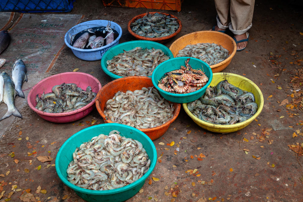 Colorful plastic basins filled with fresh shrimp and prawns arranged on a dusty ground at a fish market, with several whole fish lying to the left and a person’s feet in sandals visible at the top right. The basins are turquoise, orange, pink, and yellow, with one teal bowl holding large tiger prawns and a blue tub containing fish in water.