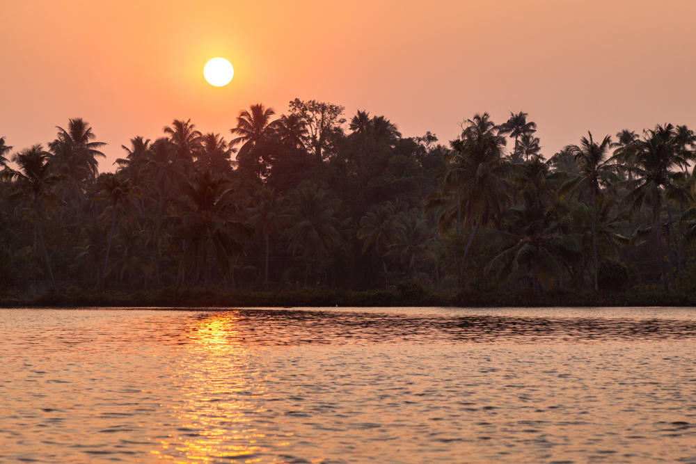 The sun hangs low over a silhouetted line of coconut palm trees along the far shore of calm backwaters, casting a golden reflection across the rippled water under a soft peach-colored sky at sunset.