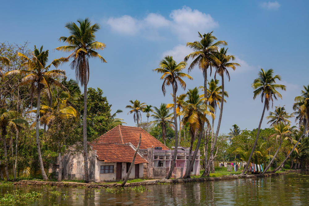 A tile-roofed house sits amid tall coconut palms along a green backwater channel, with laundry drying on a line and lush vegetation reflected in the calm water under a bright, hazy sky.