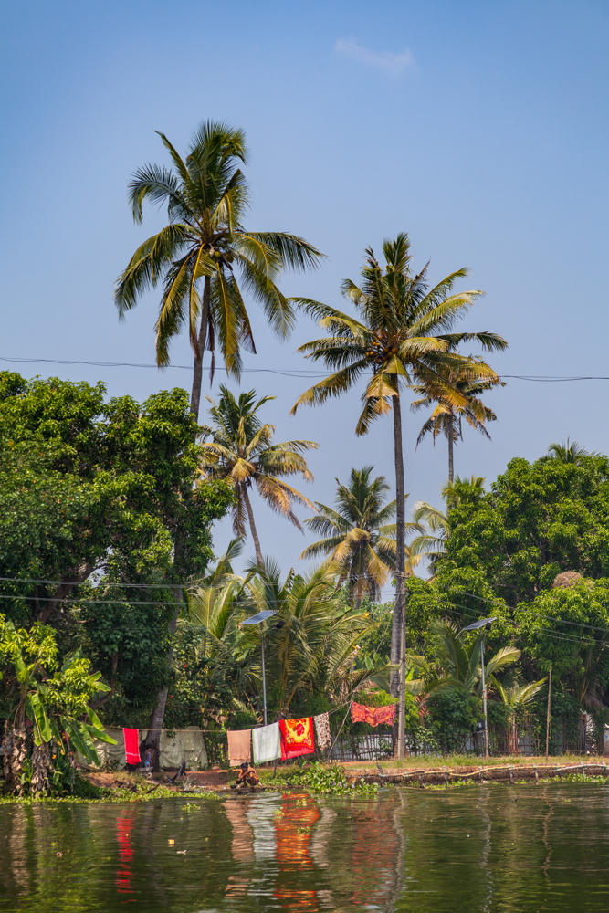 A palm-lined green riverbank along a backwater channel, with tall coconut palms rising against a hazy sky, laundry including red and white cloth hanging on a line, solar street lamps, and lush tropical vegetation reflected in the calm water.