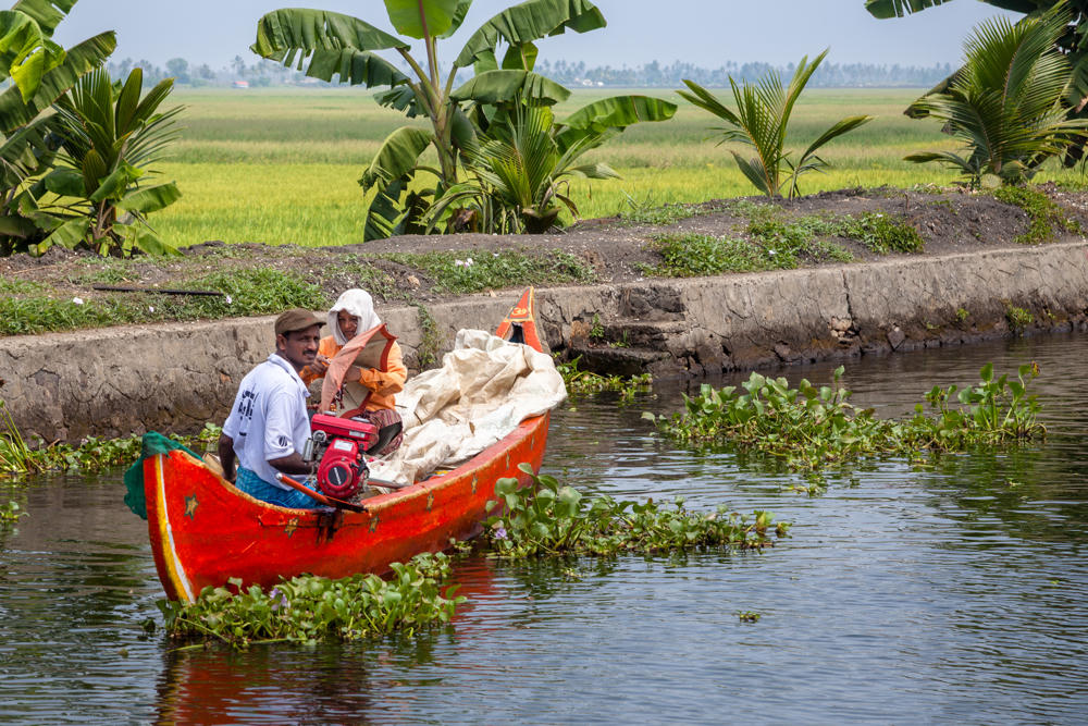 Two men travel in a bright orange wooden canoe with a small red motor along a backwater canal in Kerala, one steering while the other sits amid white sacks. Behind them a grassy embankment lined with banana and coconut palms borders vivid green rice paddies.