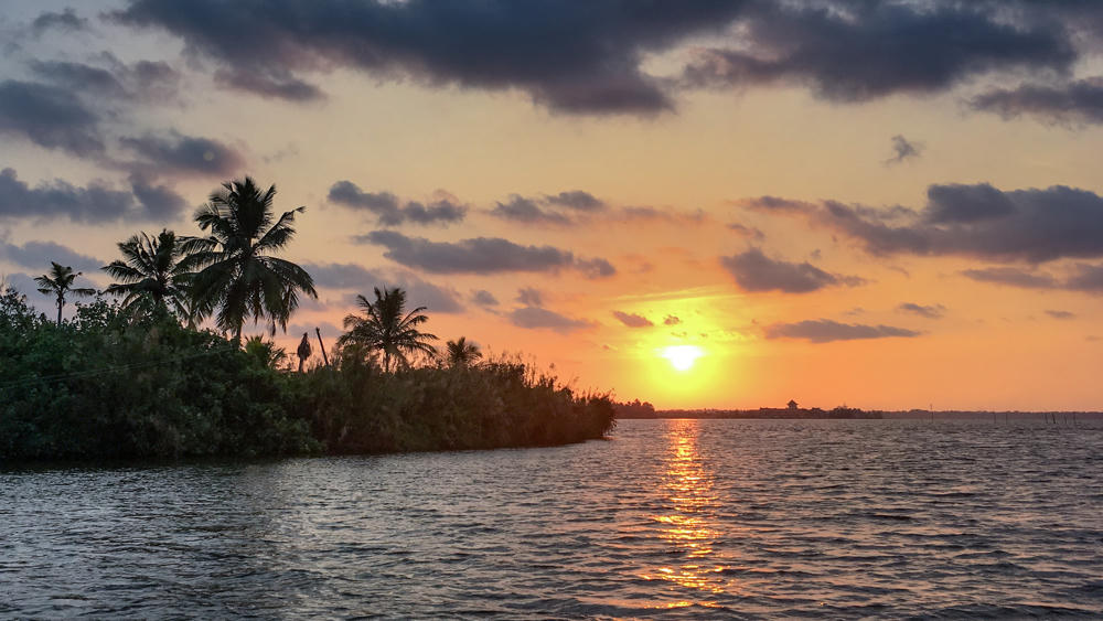 A sunset over calm backwaters with silhouetted palm trees and dense foliage along the left shoreline, the sun low over the horizon casting a golden reflection across the rippled water beneath a sky of purple and orange clouds.