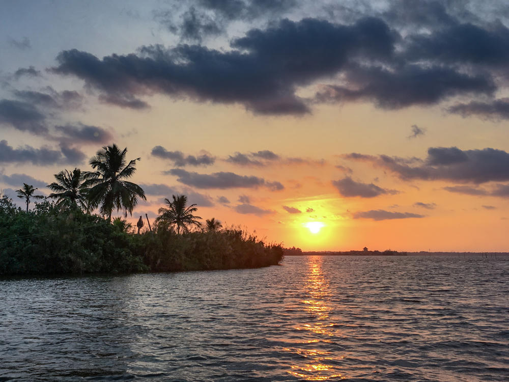 A sunset over calm backwaters with silhouetted palm trees and dense foliage along the left shoreline, the sun low over the horizon casting a golden reflection across the rippled water beneath a sky of purple and orange clouds.