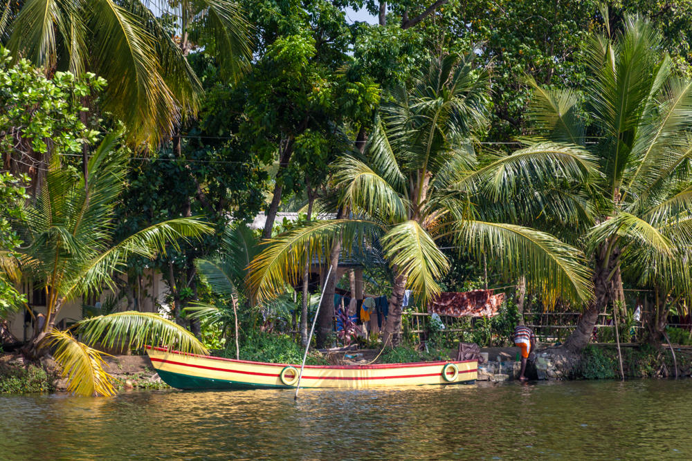 A wooden canoe with a cream, red, and green painted hull rests along a lush riverbank crowded with coconut palms and dense tropical trees, with laundry hanging on a line and a person crouched by the water’s edge on the right.