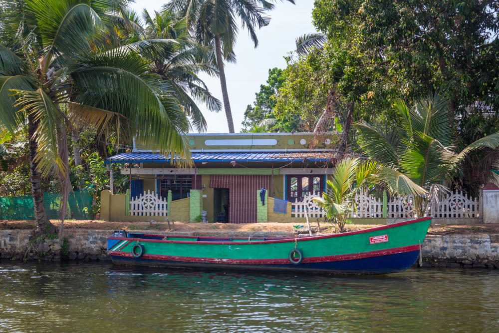 A green and blue wooden canoe with tires as fenders moored along the grassy bank of a calm river, in front of a modest house with a white picket fence, surrounded by tall coconut palms and dense tropical greenery.