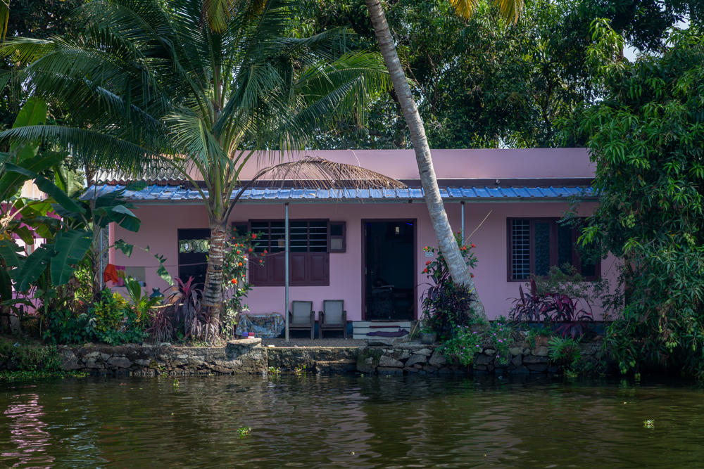 A pink single-story house with a corrugated metal roof sits on the edge of a river, framed by tall palm trees and lush tropical greenery. A stone embankment lines the waterfront, and two chairs and a thatched umbrella stand on the small terrace by the front door, with the calm green water in the foreground.