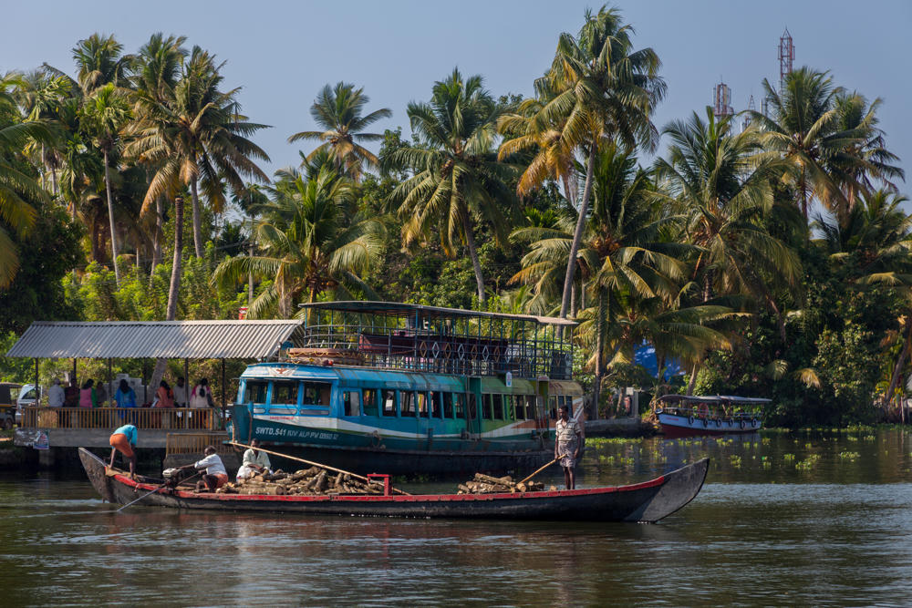 A long wooden canoe laden with logs, poled by workers, moves across a calm river in front of a moored blue and green public ferry, with dense coconut palms and a covered waiting shelter along the bank behind them.