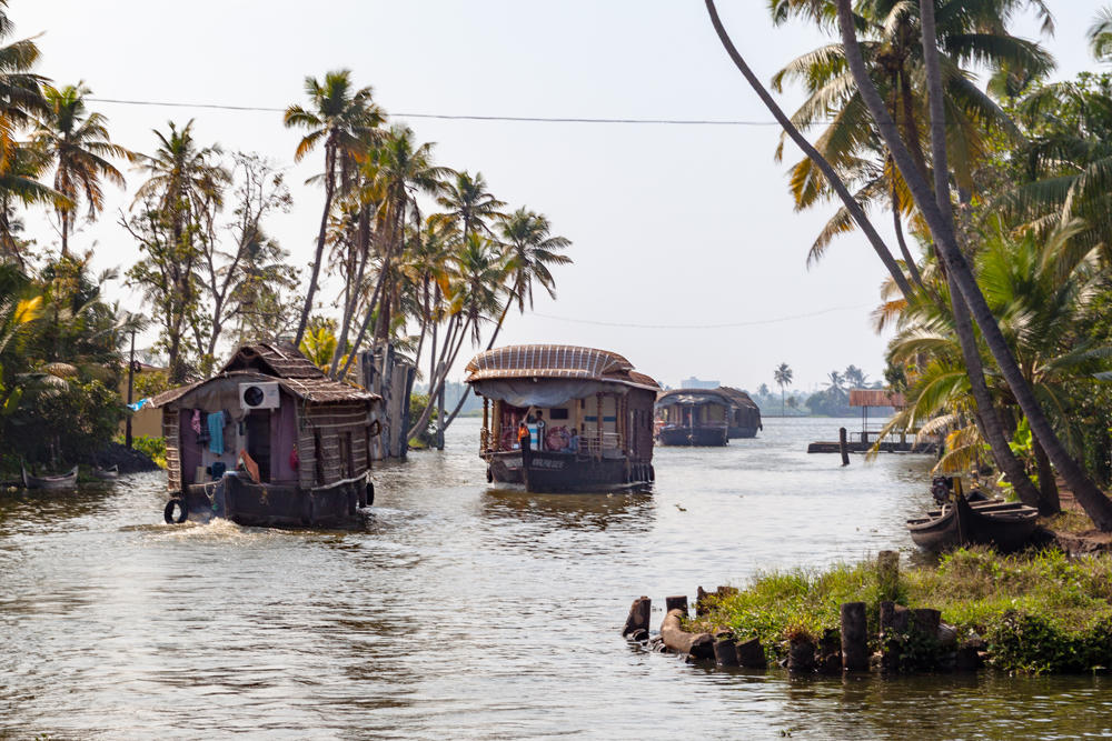 Traditional Kerala houseboats cruise along a palm-lined backwater channel while a man paddles a small wooden canoe in the foreground, with a red ‘Hotel Amala’ sign on the grassy bank at left.