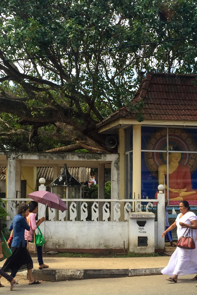 Pedestrians walk along a street in front of a Buddhist shrine in Galle, Sri Lanka, where a glass-fronted pavilion with a tiled roof displays a large colorful painting of a seated Buddha. A spreading bodhi tree shades a white wall topped with decorative swan-shaped balusters, and people pass by including women in white and a woman holding a pink umbrella.