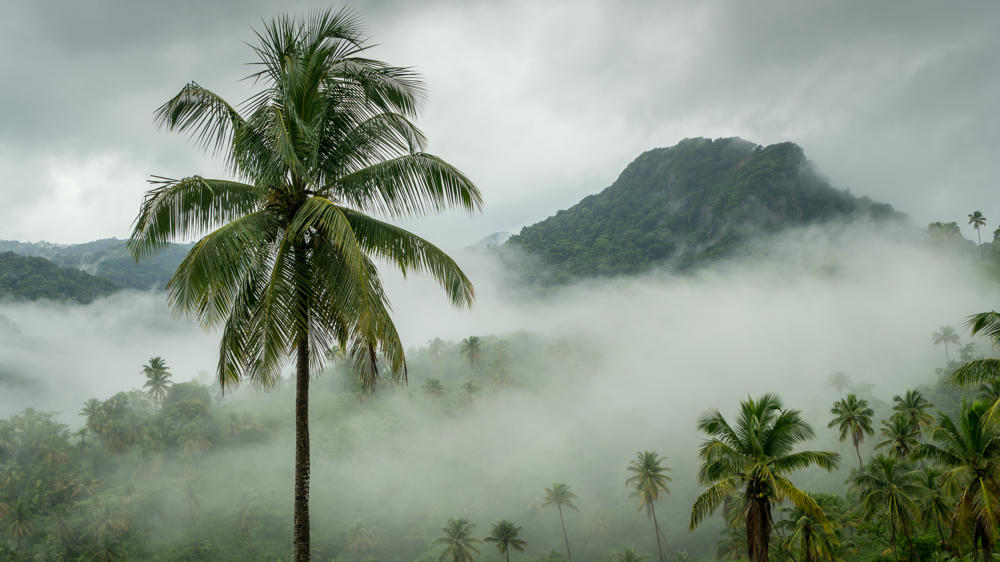 Micoud Highway, La Ressource, Saint Lucia