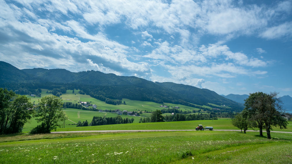 Europe Day 42: Austrian Countryside and Vienna