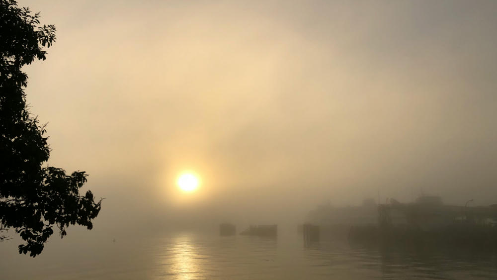Foggy Sunrise
