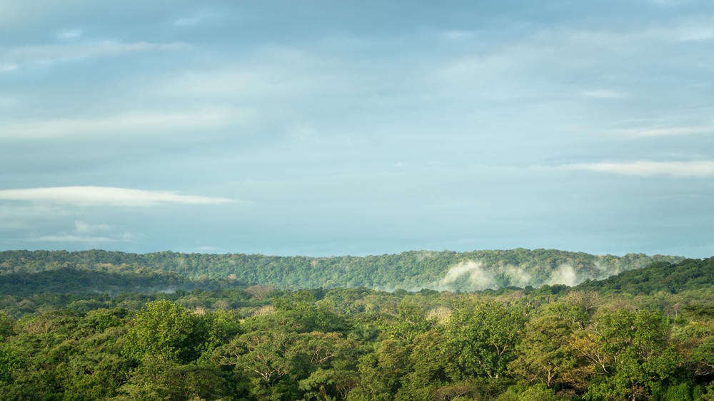 Caribbean Day 9: Panama Canal